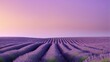  A picturesque lavender field, adorned with rows of vibrant flowers against the backdrop of a captivating pink sky with a striking purple undertone
