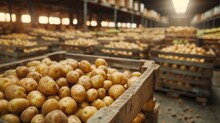 Multiple Wooden Crates Filled With Fresh Potatoes Occupy An Expansive Warehouse Setting