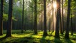 Spring Symphony: Serene Silence in the Forest with Beautiful Bright Sun Rays GENERATIVE AI