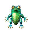 green frog design isolated on white
