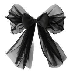 black bow isolated on white background