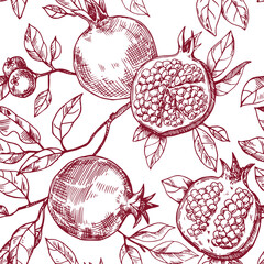 seamless pattern of fruits and pomegranate leaves, vector pattern in sketch style. hand drawing, engraving