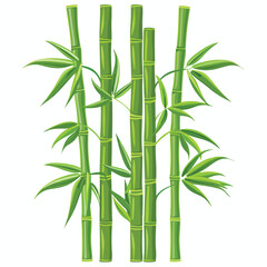  Green bamboo trees. Bamboo stems with leaves on whi