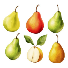 Wall Mural - Watercolor Vector Drawing of set pear Fruit with leaves, isolated on white background, Illustration clipart, painting, Graphic.	