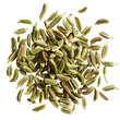 Fennel seeds isolated on transparent background