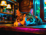 Fototapeta  - Um gato cálico, sonolento, deitado no balcão de um pub.