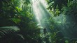 Traveler standing in awe beneath the canopy of a rainforest, light rain filtering through the dense foliage, illuminating the diverse wildlife and creating a serene, interconnected scene.