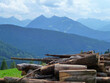 Ein Holzstapel auf einer Wiese, im Hintergrund ein Bergpanorama.