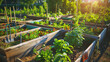Beautiful Community Garden Plots with Raised Beds