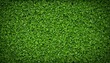 a green plant background