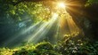 © Artem - Beautiful rays of sunlight in a green forest