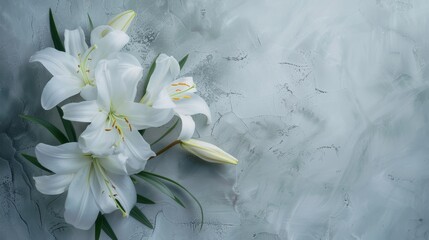 White flowers on concrete floor