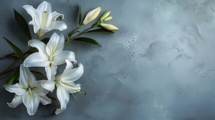 White flowers on concrete floor