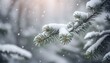 Covered with snow branch spruce during snowfall, copy space. Winter background