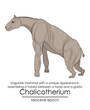 Chalicotherium, Ungulate mammal with a unique appearance, resembling a hybrid between a horse and a gorilla from Miocene epoch.