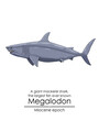 The largest fish ever known Megalodon, a giant mackerel shark from Miocene epoch.