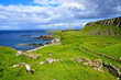 Isle of Skye, Scotland. View over the green fields with grazing sheep along the coast at Brothers Point.