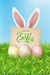 White easter rabbit ears sticking out of the grass, eggs, ribbon. Cute cartoon greetig card design. Spring easter design