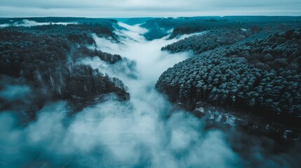 Poster -  an aerial view of a foggy forest with a river running through the middle of the forest in the middle of the day.