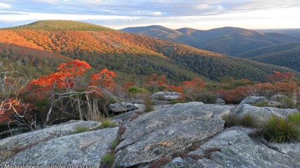 Canvas Print -  a view of a mountain range with trees in the foreground and rocks in the foreground in the foreground.