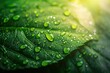 Fresh green leaf adorned with glistening water droplets closeup