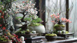 Flowering bonsai arrangement with ceramic accessories, concept of harmony