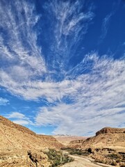 Wall Mural - landscape with blue sky