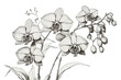 Background with hand draw orchids. Flower collection.