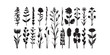 Wild meadow herbs flowering flowers Vector Silhouettes Collections Vector Art Illustration