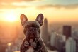 A French Bulldog sporting a stylish bowtie, posing confidently in front of a city skyline at sunset, Copy Space.