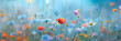Summer wild field with wildflowers daisies and cornflowers and poppies in the rays of the sun, banner