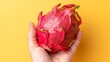  a person's hand holding a dragon fruit on a yellow and yellow background with a bite taken out of it.