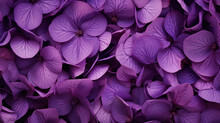 African Violet Flower Petals In Deep Purple Floral Background Image