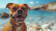 Funny happy dog in summer vacations, generated with AI