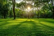 Beautiful morning light in public park with green grass field