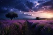 Sunset over a violet lavender field .Valensole lavender fields,