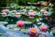 Pink Water Lilies Adorn Serene Pond
