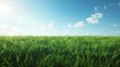 Serene grass field landscape under a clear blue sky, perfect for nature backgrounds