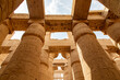 Looking up At the Capitals on Columns in the Hypostyle Hall at The Temple of Karnak in Luxor, Egypt
