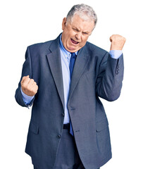 Canvas Print - Senior grey-haired man wearing business jacket celebrating surprised and amazed for success with arms raised and eyes closed. winner concept.