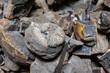 Russia. Ulyanovsk. Processing of ammonites and production of simbirzite stone.
