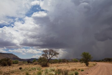 Wall Mural - Gewitter über Namib Wüste