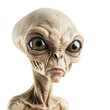 Alien isolated on white or transparent background