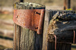 Rusted Hinge on Corral Fence Post
