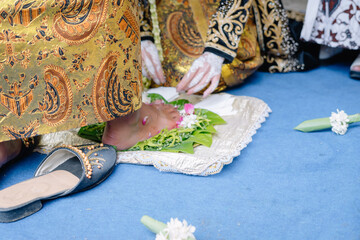 Wall Mural - one of the Indonesian Javanese wedding processions