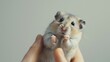 The Cheerful Charm of a Smiling Roborovski Hamster