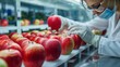 A scientist in a laboratory analyzing the genetic makeup of different apple varieties, aiming to develop