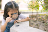 Fototapeta Desenie - A young girl is looking through a magnifying glass at a bug