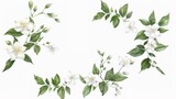 Collection of wreath jasmine flower hand drawn illustration ,Generative ai