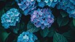 Hydrangea plant closeup as background  ,Generative ai, 